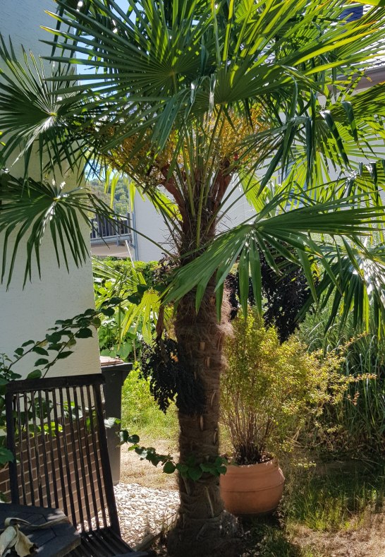 Kleiner Garten mit Sitzgelegenheit | © M. Schwirzheim