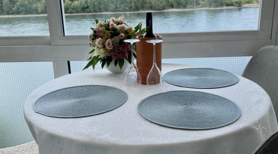 "Wintergarten" Rheinblick | © ©Fewo Dott