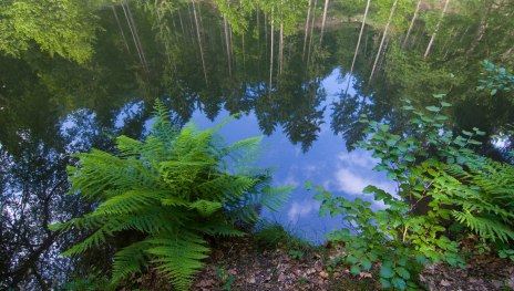 See | &copy; Klaus-Peter Kappest, Traumpfade im Rhein-Mosel-Eifel-Land