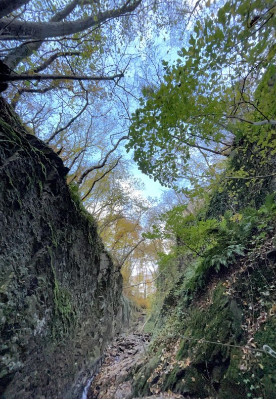 Ruppertsklamm Lahnstein 5 | &copy; Stadt Lahnstein