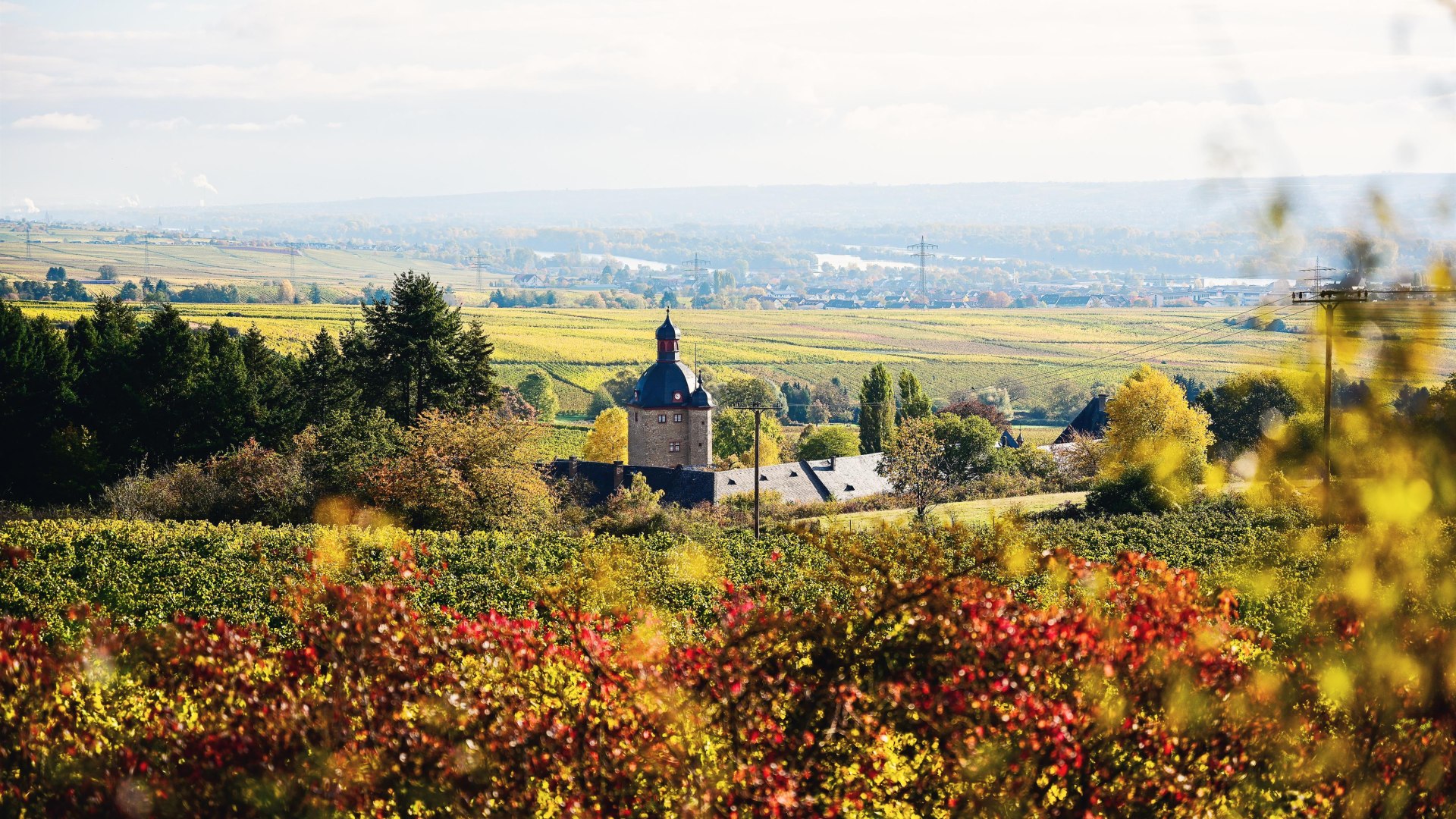Schloss Vollrads | &copy; Saskia Marloh