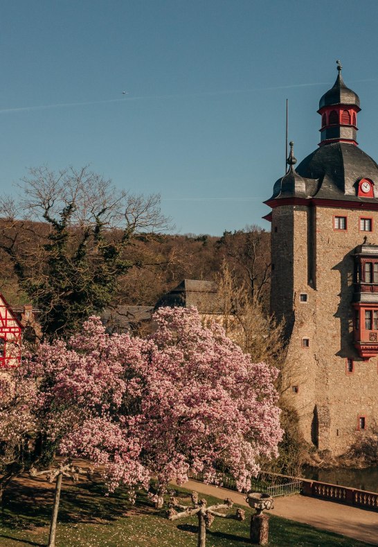 Schloss Vollrads Schlossturm | &copy; Schloss Vollrads