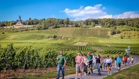 Weinwanderung | &copy; Bianca Promotion