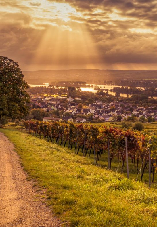 Wandbilder GK  (1) | &copy; Thomas Weinsheimer