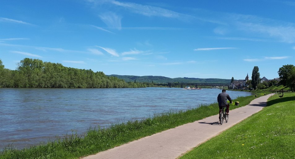 Rheinradweg | &copy; Romantischer Rhein Tourismus GmbH