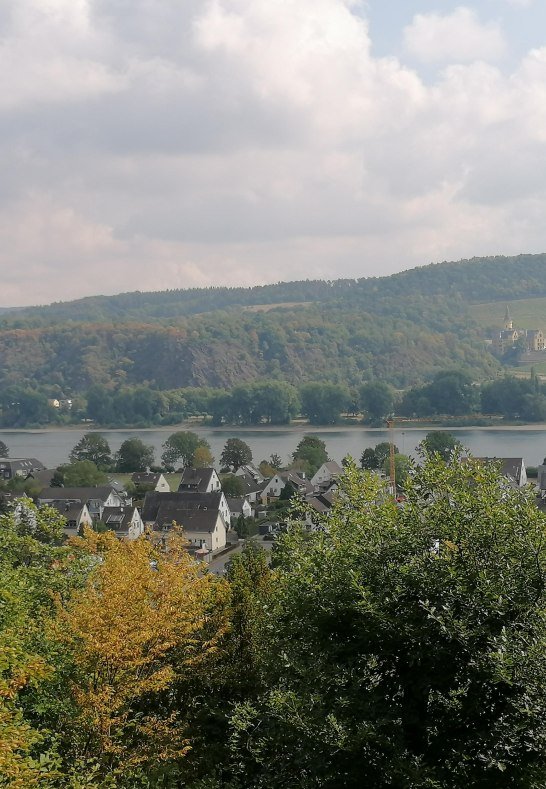 Aussicht vom Märchenwald | © Tourist-Information Bad Breisig Aussicht vom Märchenwald | © Tourist-Information Bad Breisig