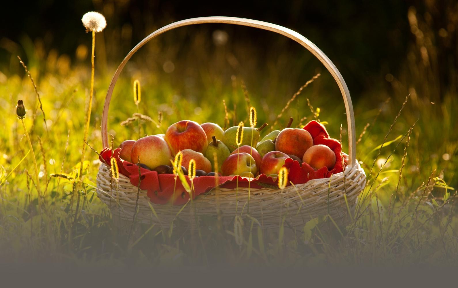Obstkorb | © ©Klaus Peter Kappes Verbandsgemeinde Weißenthurm