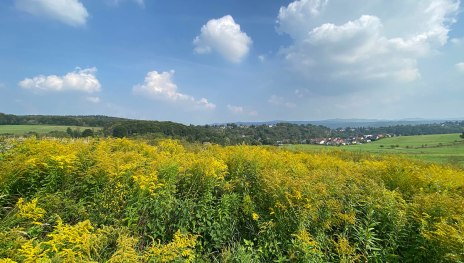 Rheinh&ouml;he Oberwinter und Siebengebirge | &copy; Tourist-Information Remagen, Mittelrhein