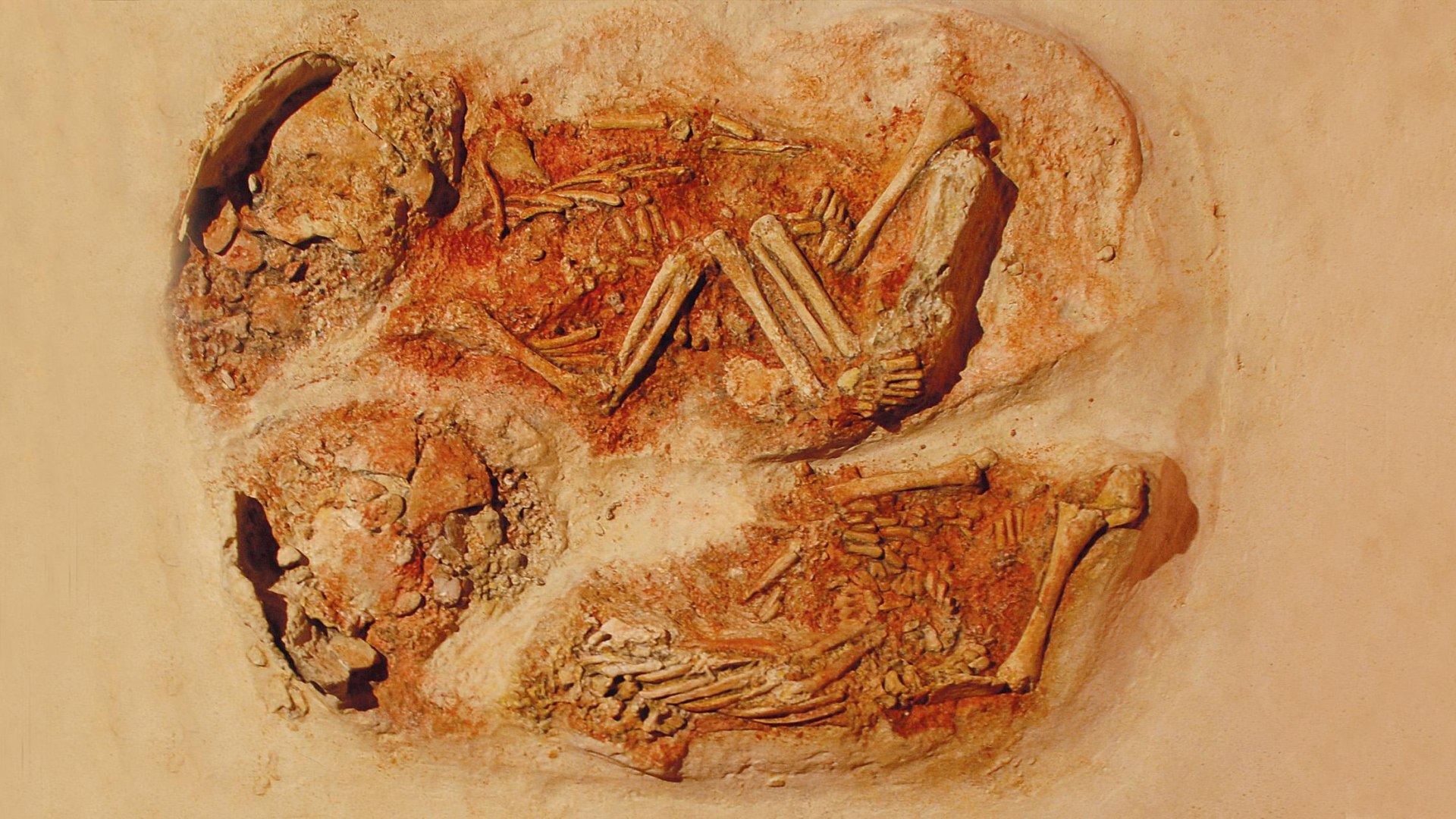 Bestattung Krems Wachtberg | © LEIZA/A.-L.Rosenthal Bestattung Krems Wachtberg | © LEIZA/A.-L.Rosenthal