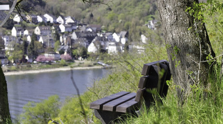 Bank mit Aussicht | &copy; Sebastian Reifferscheid