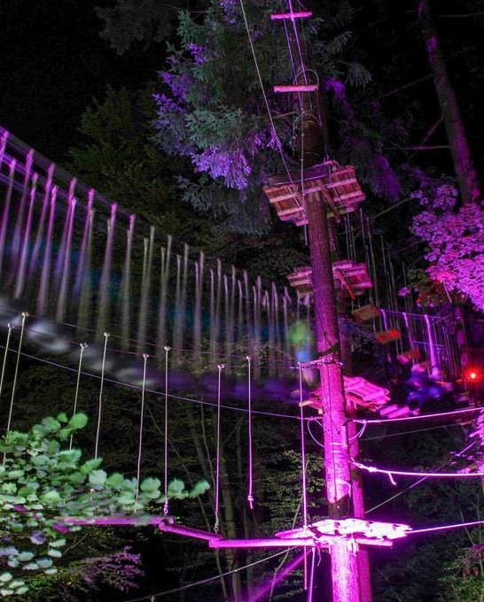 Vollmondklettern | © Kletterwald Sayn Vollmondklettern | © Kletterwald Sayn