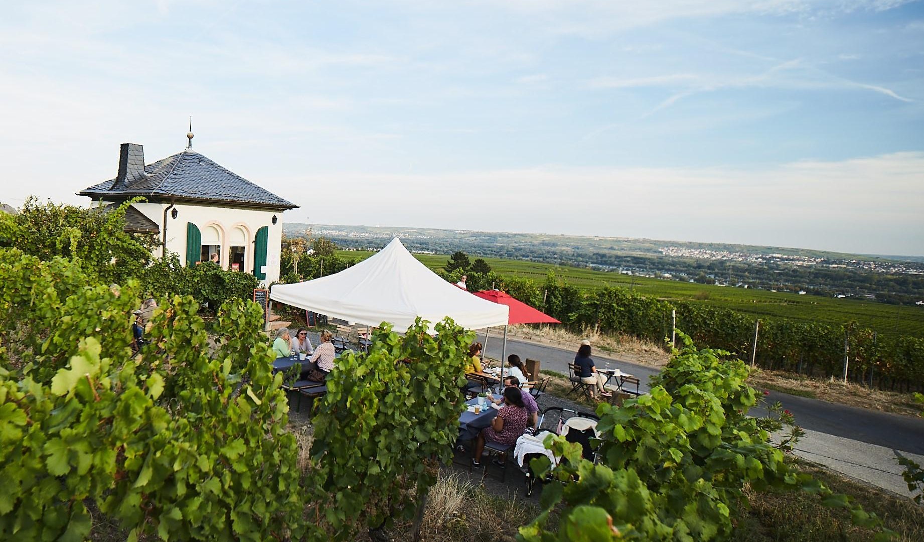 Gartenhaus Bibo Runge | © REVOLUZZER Gartenhaus Gartenhaus Bibo Runge | © REVOLUZZER Gartenhaus