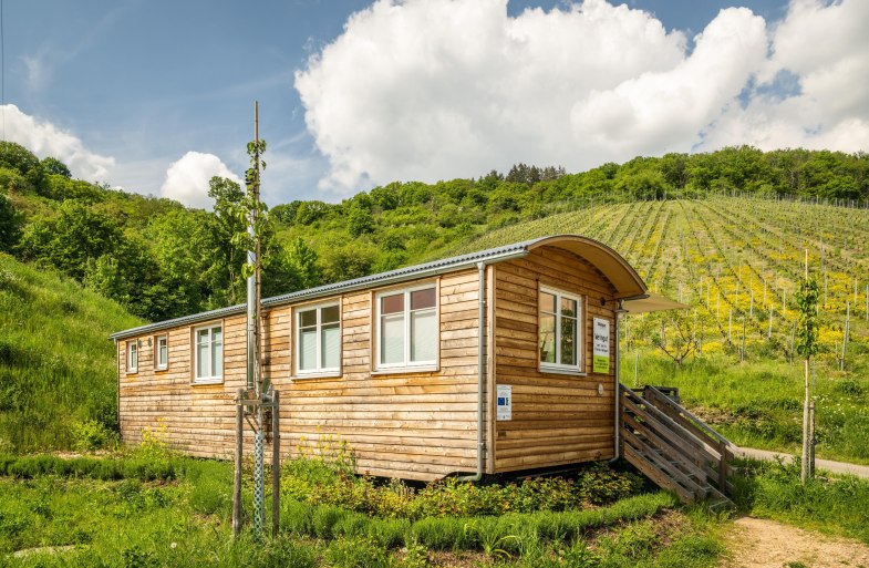 Verkaufswagen am Weingut | © Dominik Ketz Verkaufswagen am Weingut | © Dominik Ketz