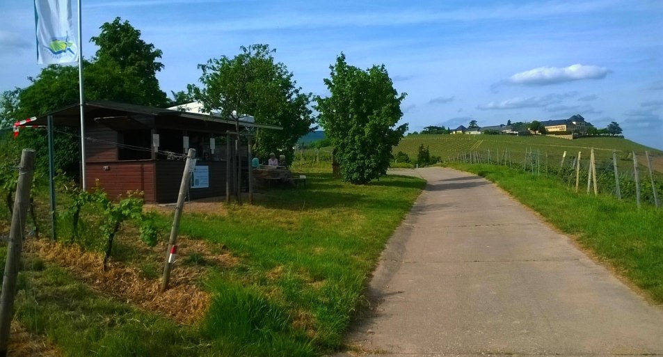 Genuss in den Weinbergen | © Weingut Abteihof St. Nicolaus Genuss in den Weinbergen | © Weingut Abteihof St. Nicolaus