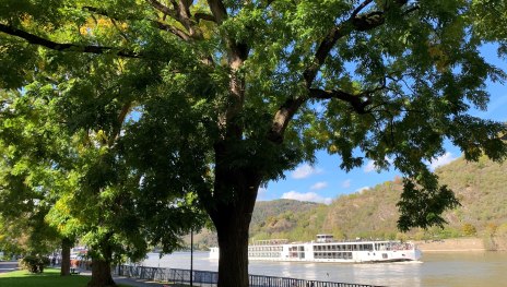 Rheinallee | © Tourist Information Boppard Rheinallee | © Tourist Information Boppard