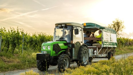Planwagenfahrt Dominik Ketz | &copy; Planwagenfahrt Maurice Keil