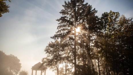 Osteinscher Niederwald Park | &copy; HA Hessen Tourismus, k22