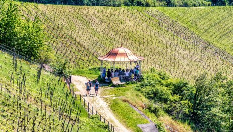 Rotweinlaube in Assmannshausen | © Marlis Steinmetz