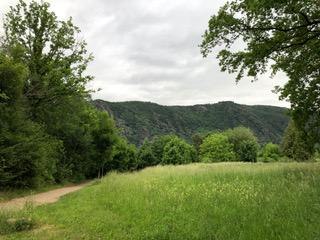 Weg am Kurpark | © Tourist Information Boppard Weg am Kurpark | © Tourist Information Boppard