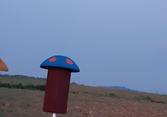 Wernlauer Pilzjen bei Vollmond | &copy; T. Biersch