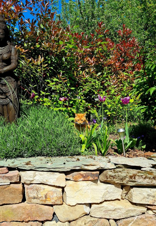 20220511_112241 | &copy; Daniela Herrmann