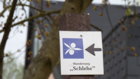 Schlehenweg Waldorf | &copy; Frank Srol, Romantischer Rhein Tourismus GmbH