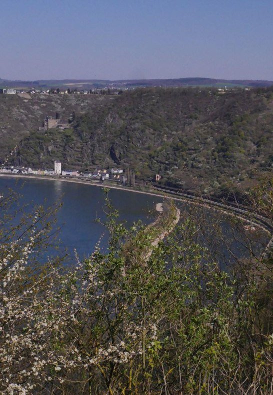 Rheinblick | &copy; Bernhard Vogt