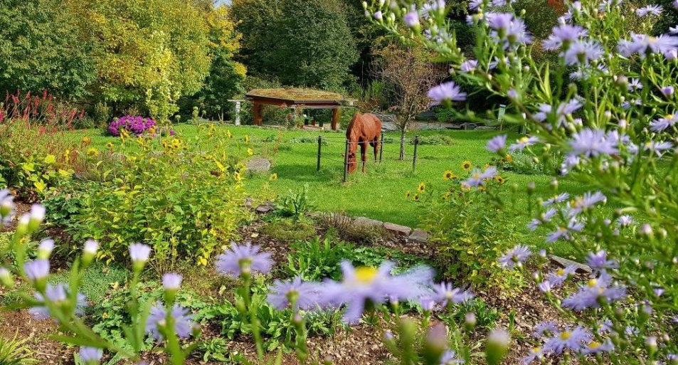 Bruker Garten | © GGB Lahnstein Bruker Garten | © GGB Lahnstein