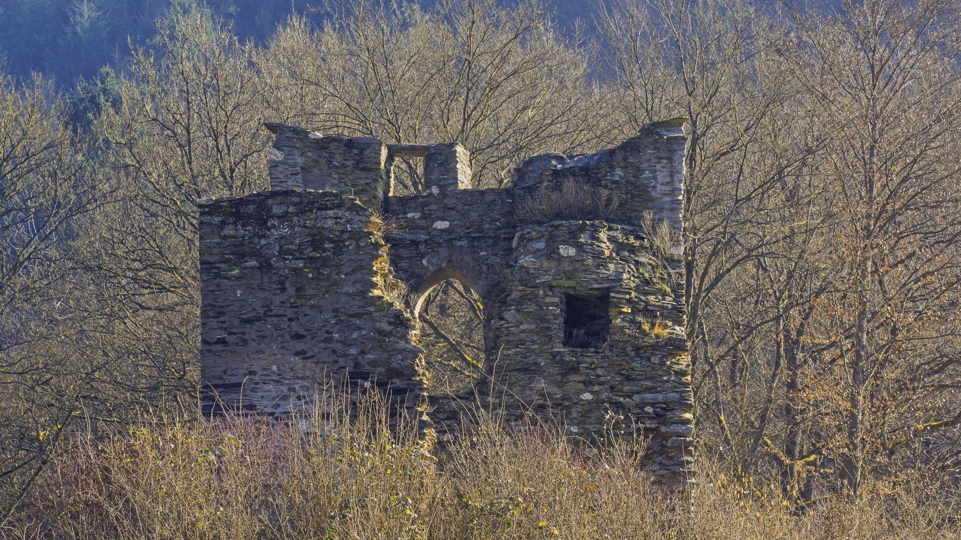 Lauksburg | &copy; Friedrich Gier/Romantischer Rhein Tourismus GmbH