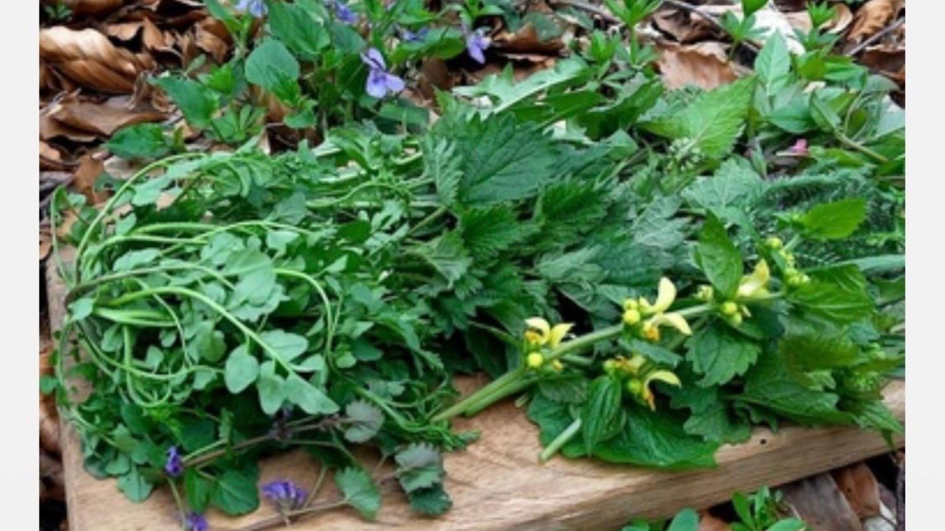 Wein | &copy; Weingut Lorenz