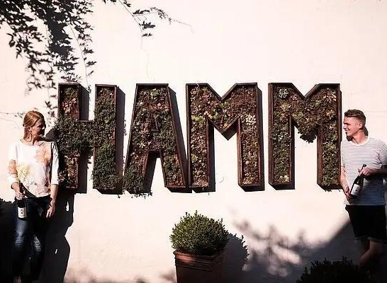 Weingut Hamm3 | © Weingut Hamm Weingut Hamm3 | © Weingut Hamm