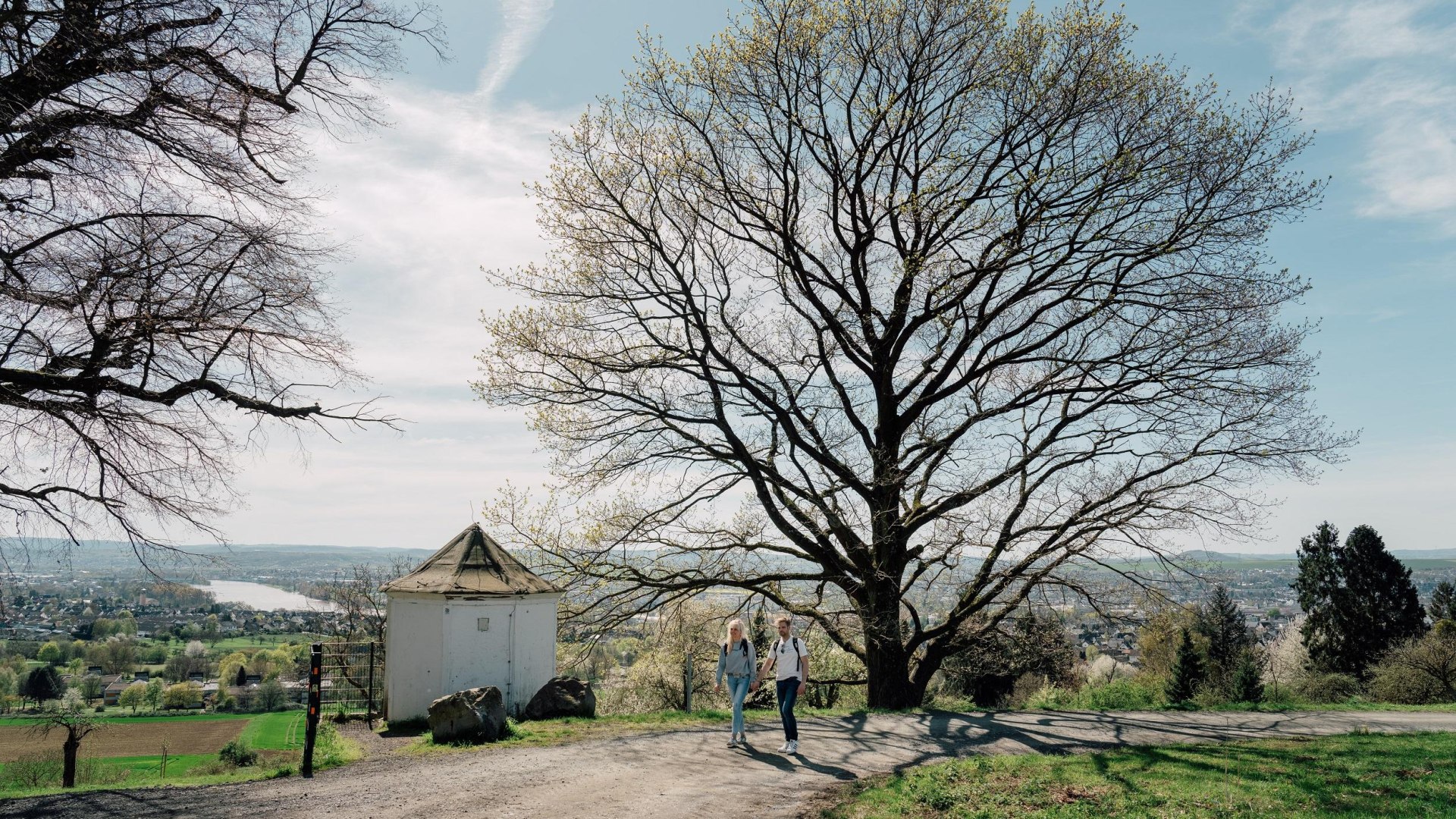 Lindenbäumchen Feldkirchen | © Zimpfer_Photography Lindenbäumchen Feldkirchen | © Zimpfer_Photography