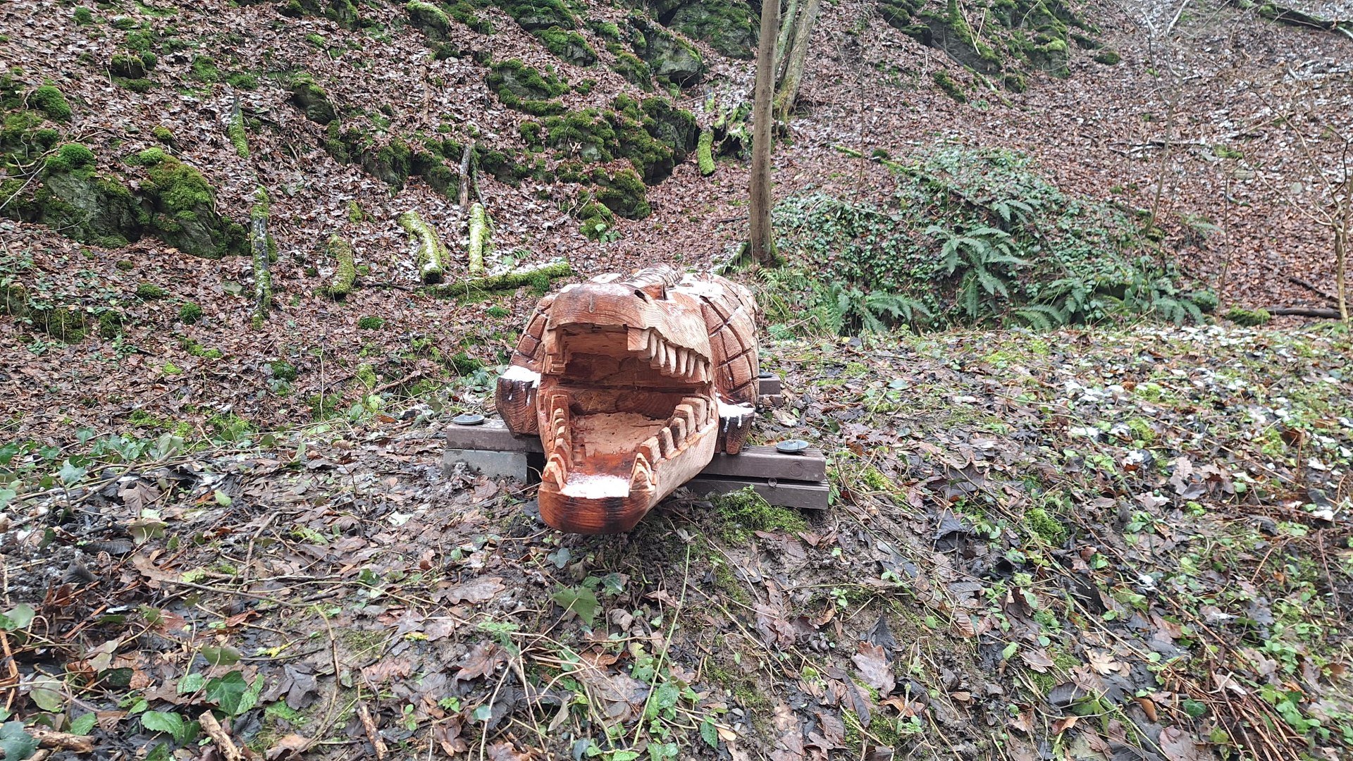 Das Krokodil | © T. Biersch Das Krokodil | © T. Biersch