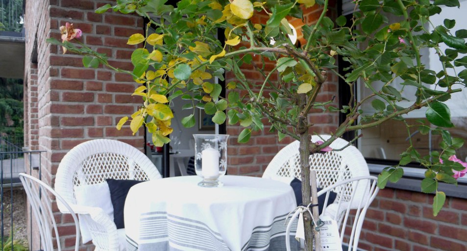 FeWo Rheinhoehe-Andernach Terrasse | &copy; 2026Vukoja