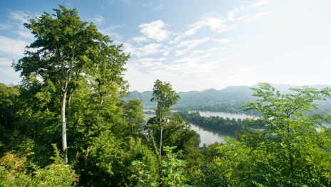 Blick aufs Siebengebirge | © Dominik Ketz, Romantischer Rhein Tourismus GmbH