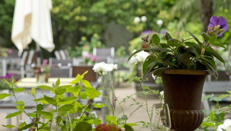 Terasse Weingut | &copy; Weingut Corvers-Kauter