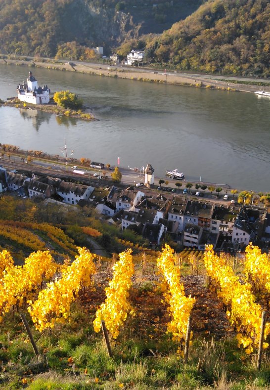 Weinberg | © Peter Bahles Weinberg | © Peter Bahles