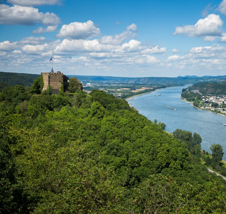 Blick auf den Rhein und Burg Brohleck | © Henry Tornow