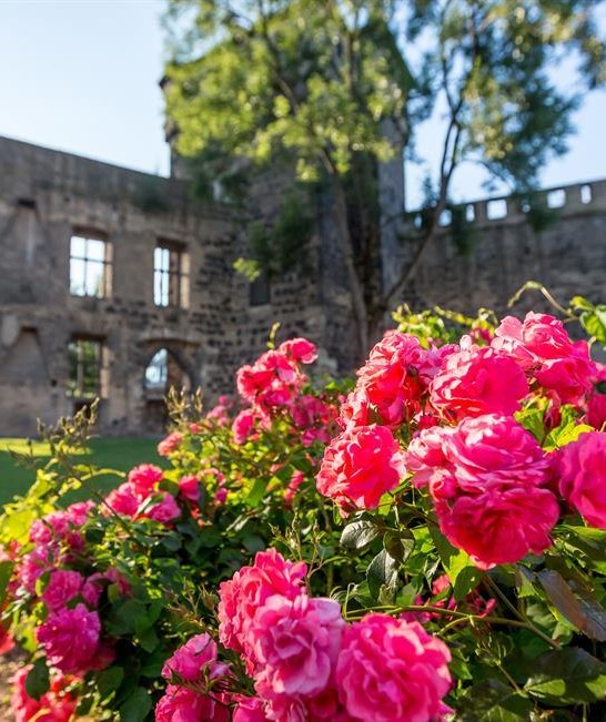 Schlossgarten | © 90 Grad Photography/Hilger & Schneider GbR Schlossgarten | © 90 Grad Photography/Hilger & Schneider GbR