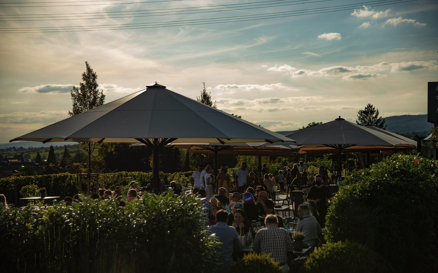 Weingut Hirt Gebhardt | © Weingut Hirt Gebhardt