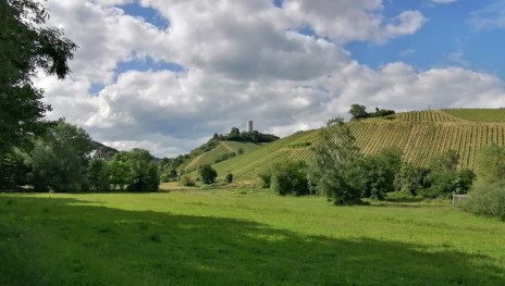 Ruine Scharfenstein und Weinberge | &copy; Anja Wegschimmel, Romantischer Rhein Tourismus GmbH