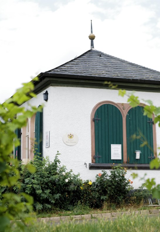 Revoluzzer | © Weingut Bibo Runge Revoluzzer | © Weingut Bibo Runge