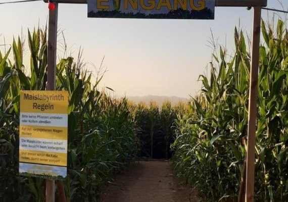Maislayrinth 2 | © Mareike Heckel Maislayrinth 2 | © Mareike Heckel