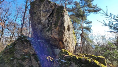 Kuckucksnacks | © E. Bender Kuckucksnacks | © E. Bender