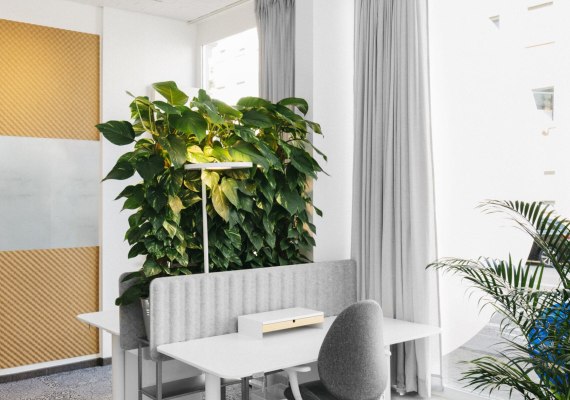 Coworking-Space 2 | &copy; zweıheıt ınnenarchıtekten