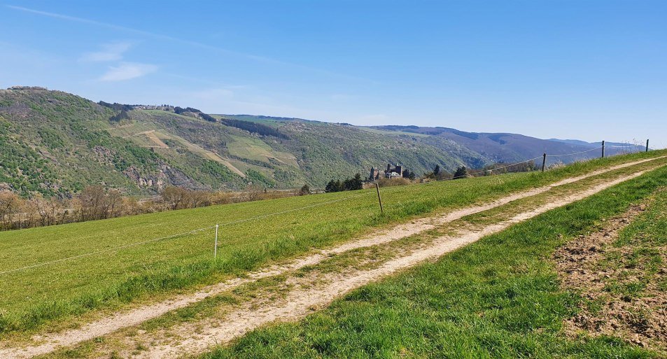 Aussich "die Hard(t)" | &copy; TI Hunsr&uuml;ck-Mittelrhein