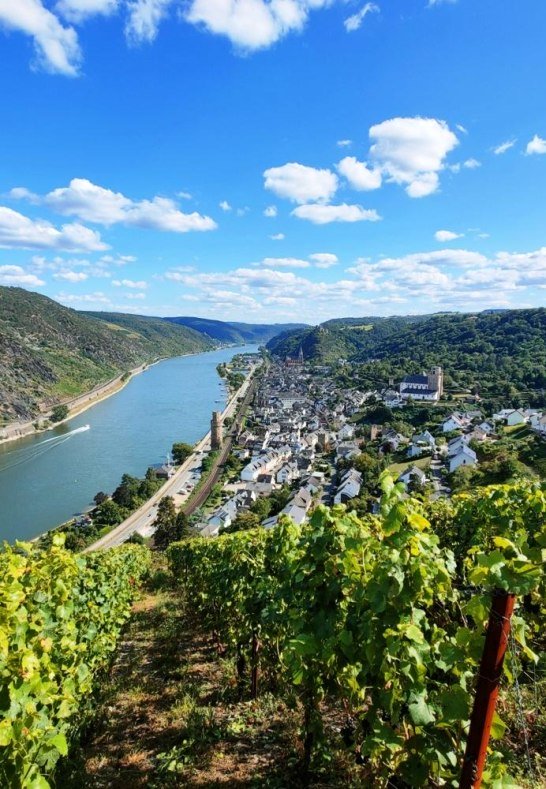 11. Romantischer Rheinblick von den Weinbergen obe | &copy; Copyright/Quelle: Familie Decker, Oberwesel