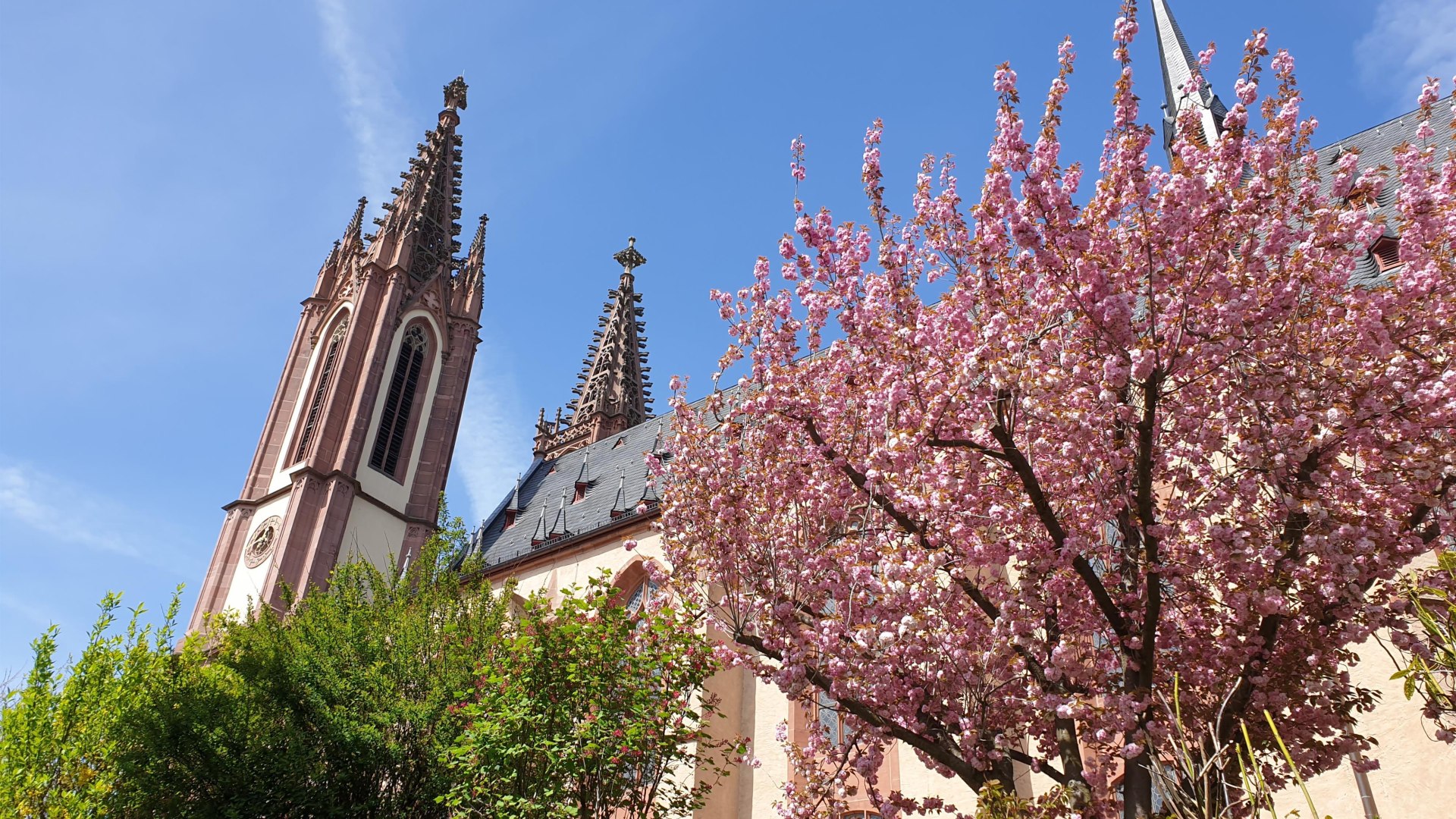 Rheingauer Dom Geisenheim | &copy; Hochschulstadt Geisenheim