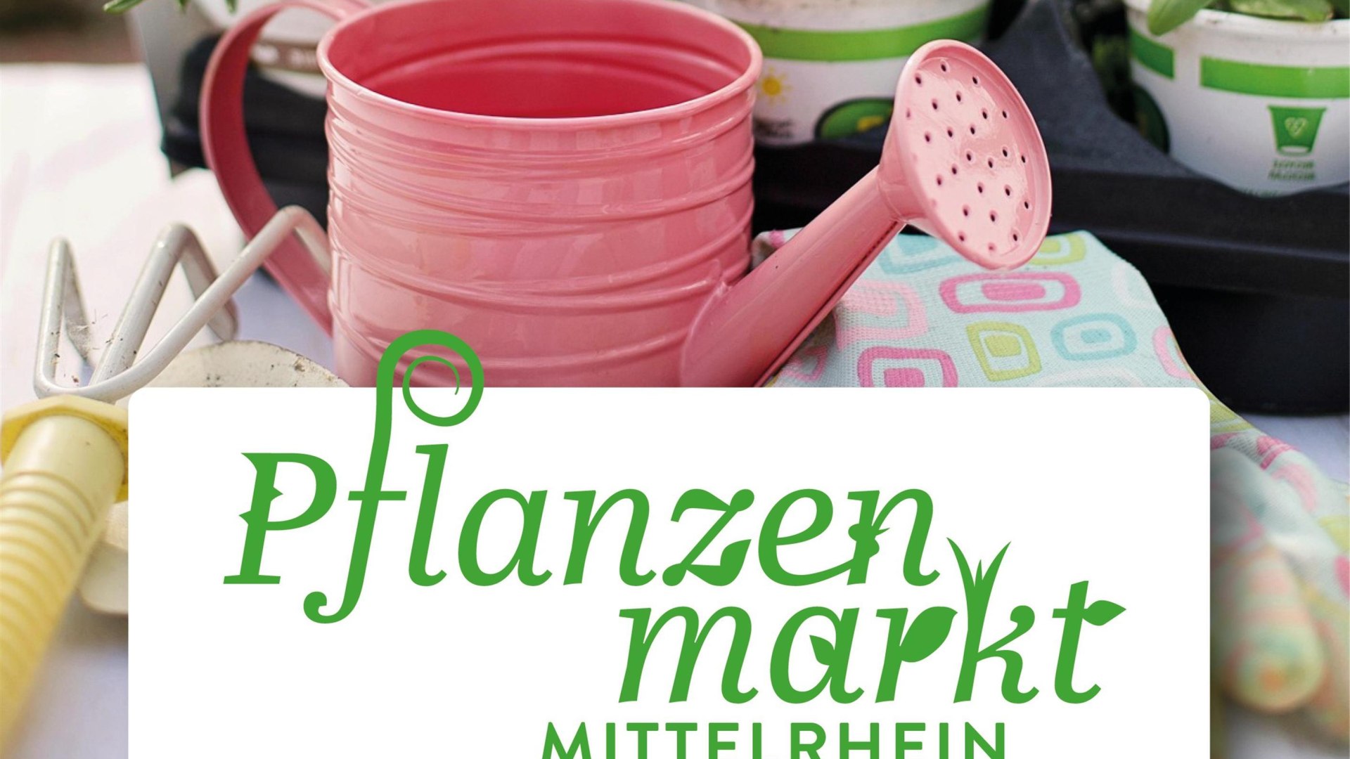 Pflanzenmarkt | © Ch. Buening