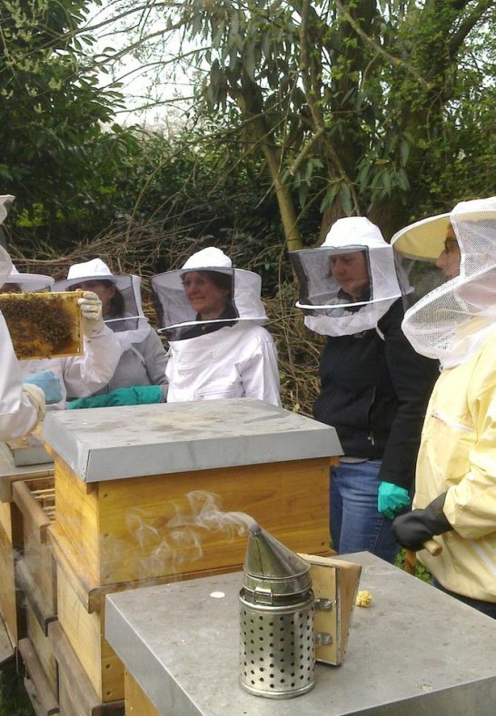 Imkerkurs | © Imkerverein Linz/Rhein - Unkel Imkerkurs | © Imkerverein Linz/Rhein - Unkel